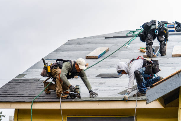 Professional Roof Replacement technician working in Markle, IN